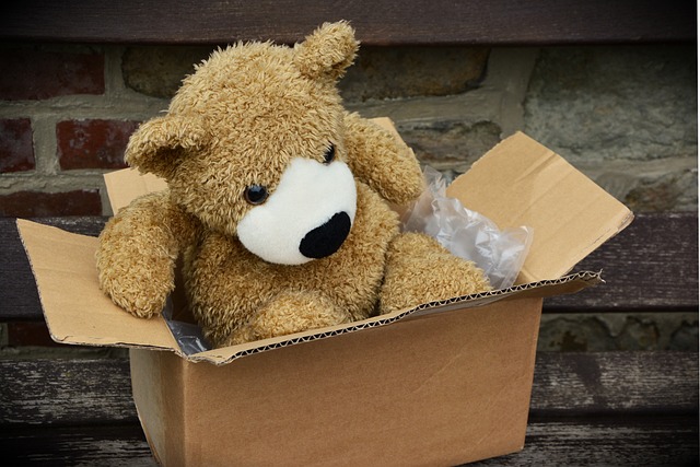 medvídek v krabici na stěhování